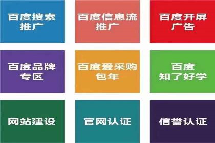 百度竞价包年推广：成功案例解析与效果评估