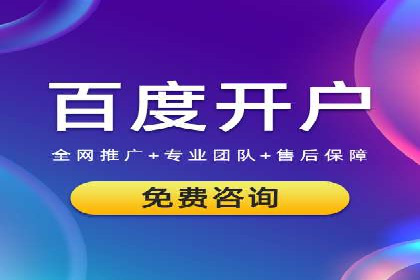 案例研究：竞价广告助力电商行业增长